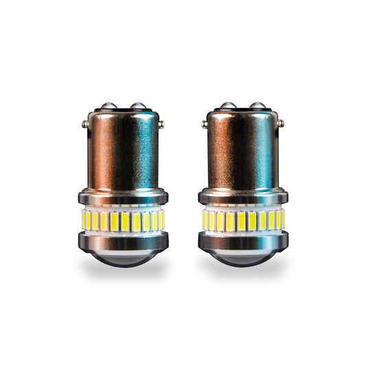 Dapper Lighting Revive LED Bulbs, 1142