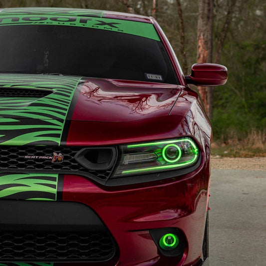 Lighting Trendz 2015-2021 Dodge Charger RGBW DRL & Diffused Projector Halo LED Kit