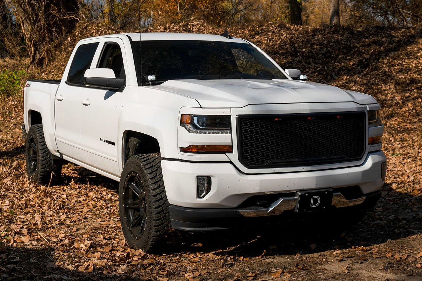 Diode Dynamics Chevrolet, GMC Off-Road Light