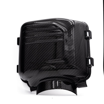2024-2025 Ford Mustang S650 Carbon Fiber Intake Cover (Pair)