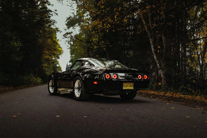 C3 Corvette Infinity Mirror Taillights