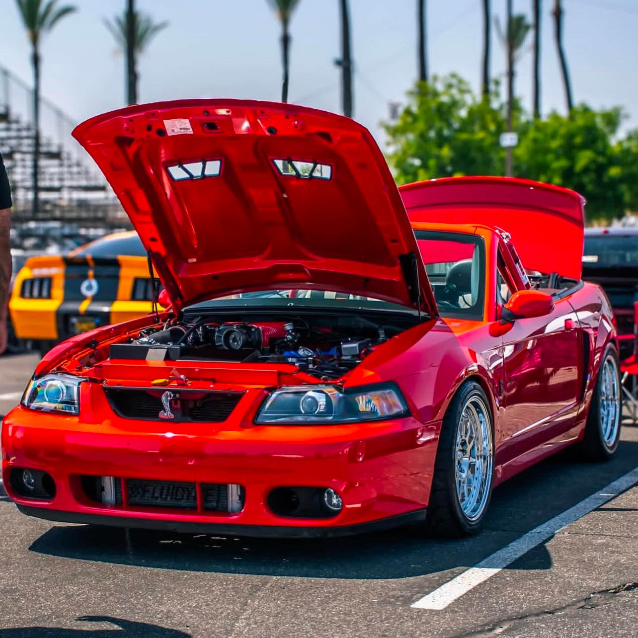SK11 Chrome