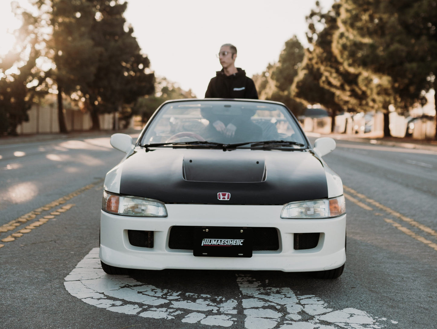 Illumaesthetic License Plate