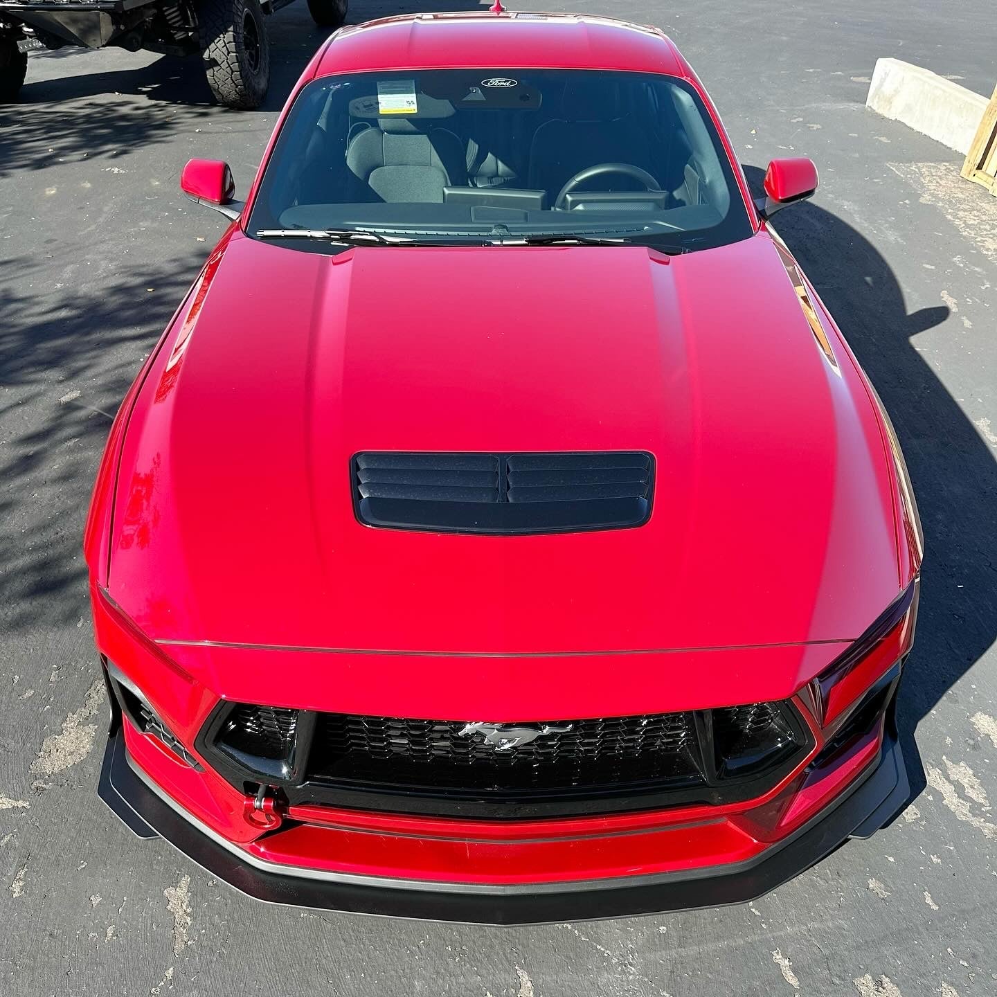 Mustang 24-25 GT/ECO Standard Splitter