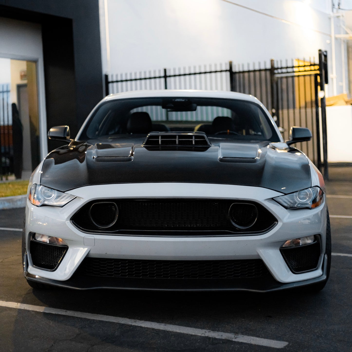 2021-2022  Ford Mustang MACH 1 Double Sided Type-OE Carbon Fiber Hood