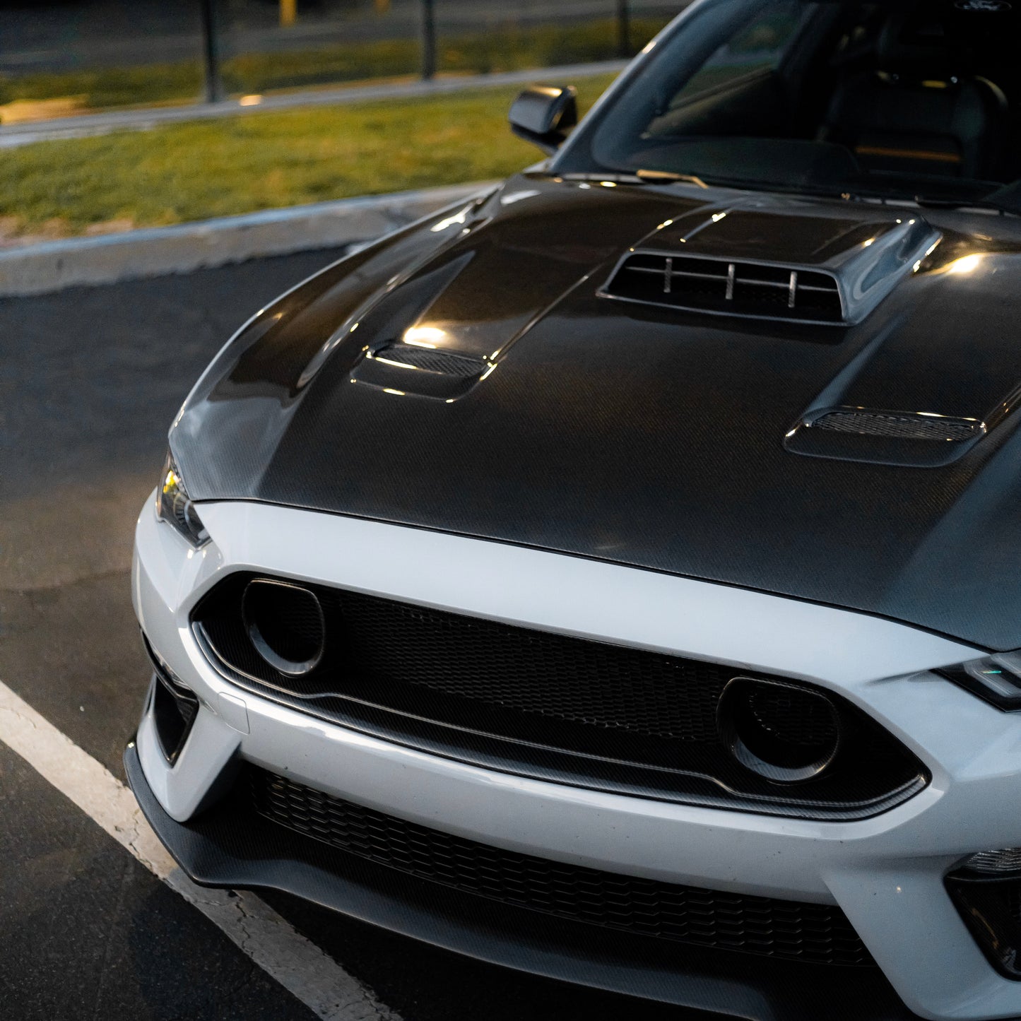 2021-2022  Ford Mustang MACH 1 Double Sided Type-OE Carbon Fiber Hood