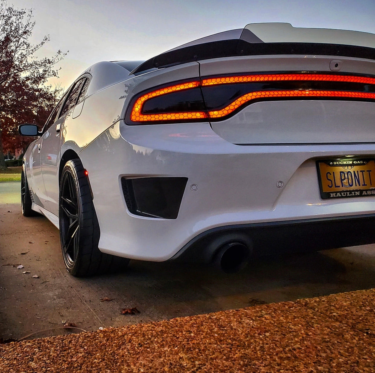 Charger 15-23 SRT Stealth Wicker Bill