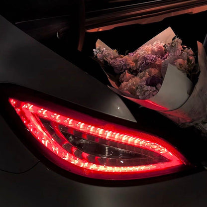 Mercedes-Benz CLS clear tail lights by JIEAN Lights – photo 5