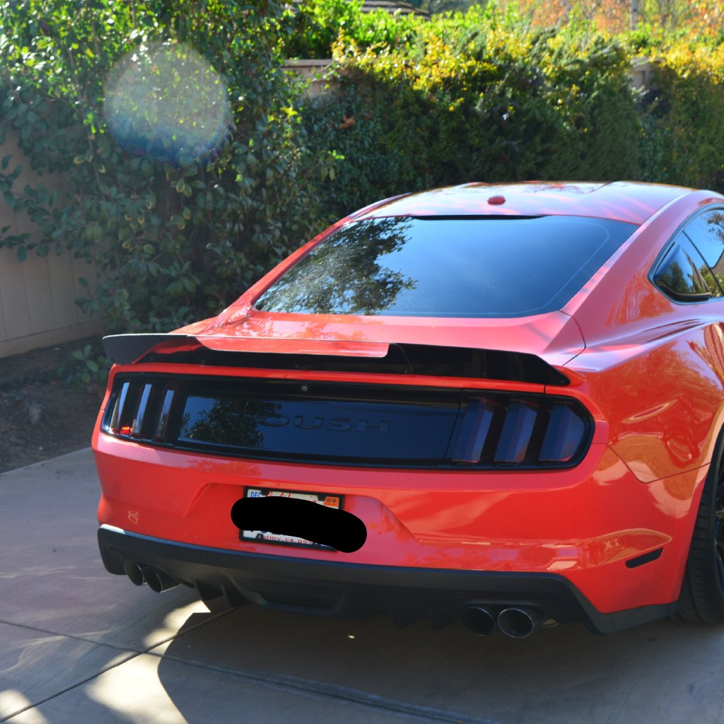 Mustang 15-18 Roush Wicker Bill