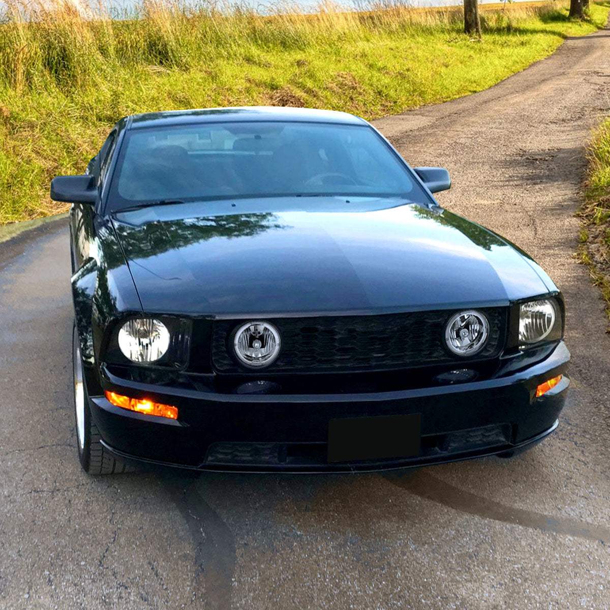 2005-2009 Ford Mustang GT Deluxe/Premium H10 Halo Ring Fog Lights (Chrome Housing/Clear Lens)
