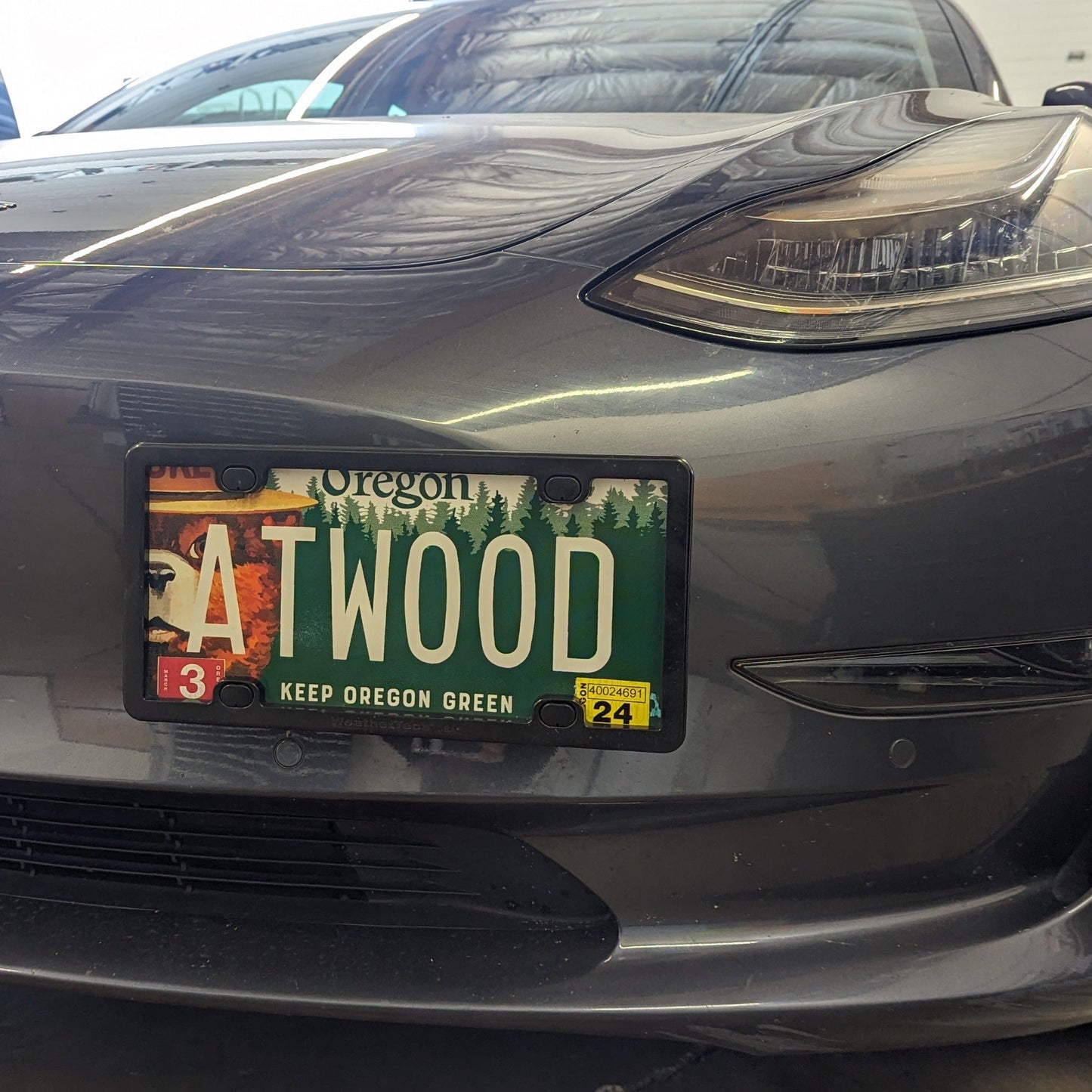 Tesla 17-24 Model 3 License Plate Holder