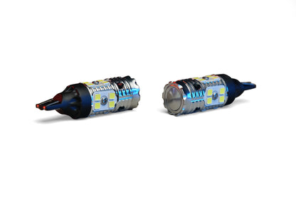 Dapper Lighting Revive LED Bulb, 921 (T15)