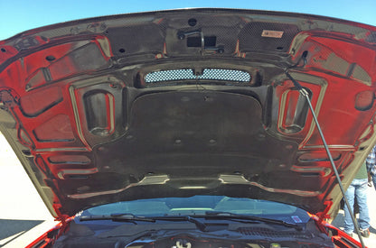 2015 - 2020 Mustang Shelby GT350 Double Sided Carbon Fiber Hood