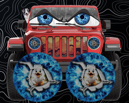 Duck eye round headlight decals