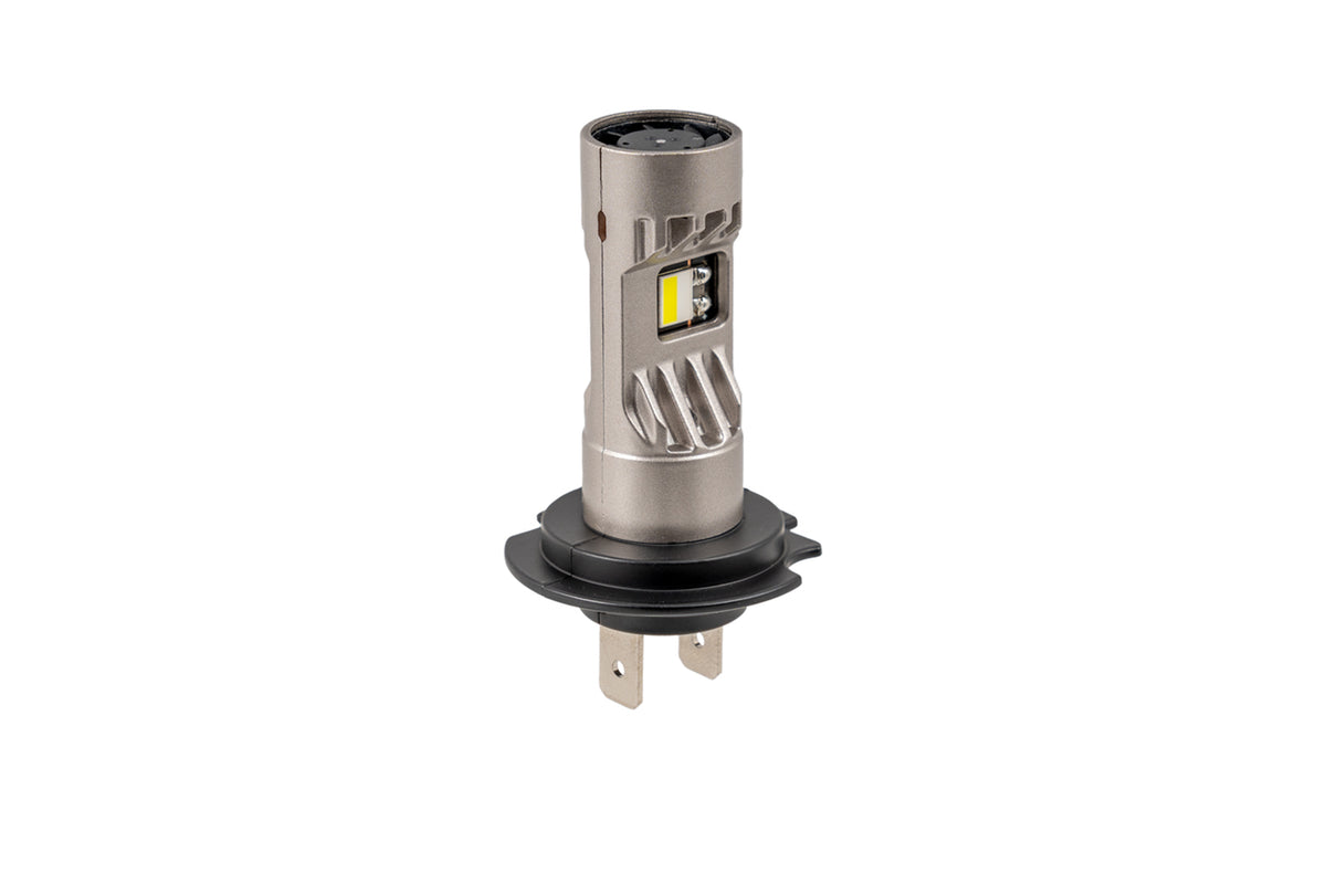 Diode Dynamics Multi-Purpose Light Bulb