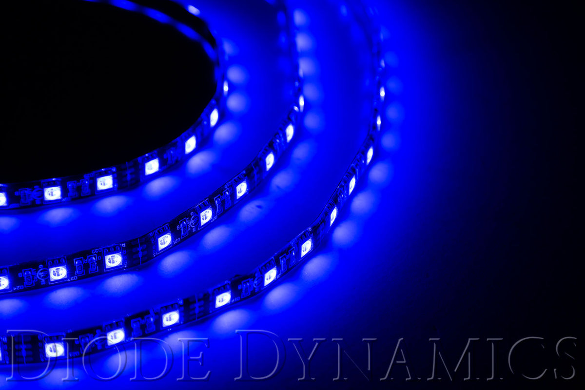 Diode Dynamics Decorative Light Strand