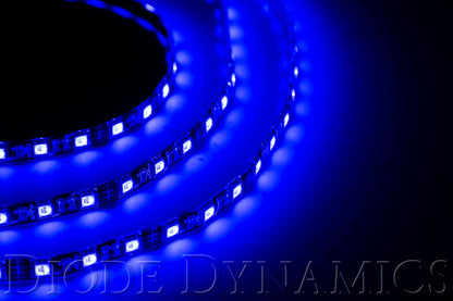 Diode Dynamics Decorative Light Strand