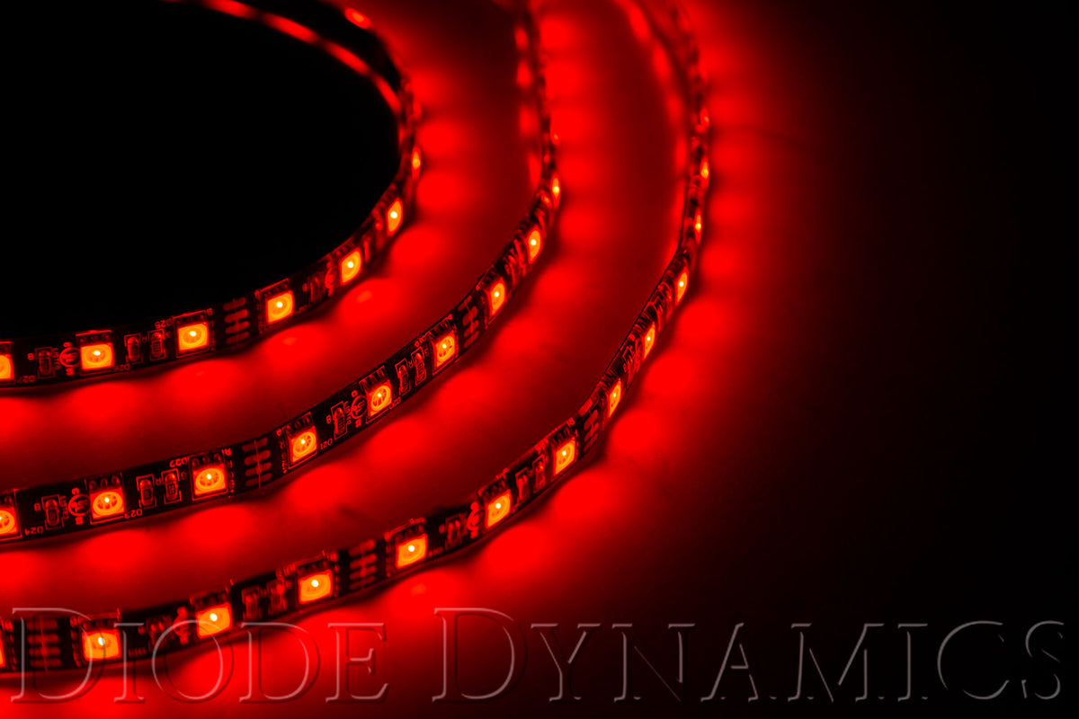 Diode Dynamics Decorative Light Strand