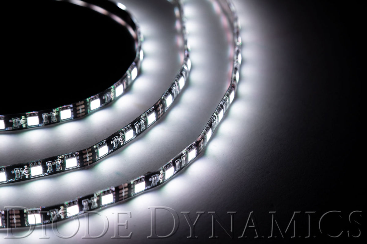 Diode Dynamics Decorative Light Strand