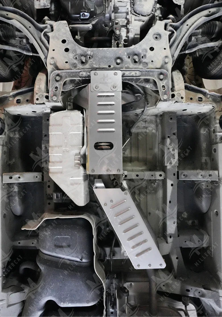 Chevrolet City Express 2014-2018 Cat Shield