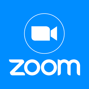 30 minute zoom call DIY help