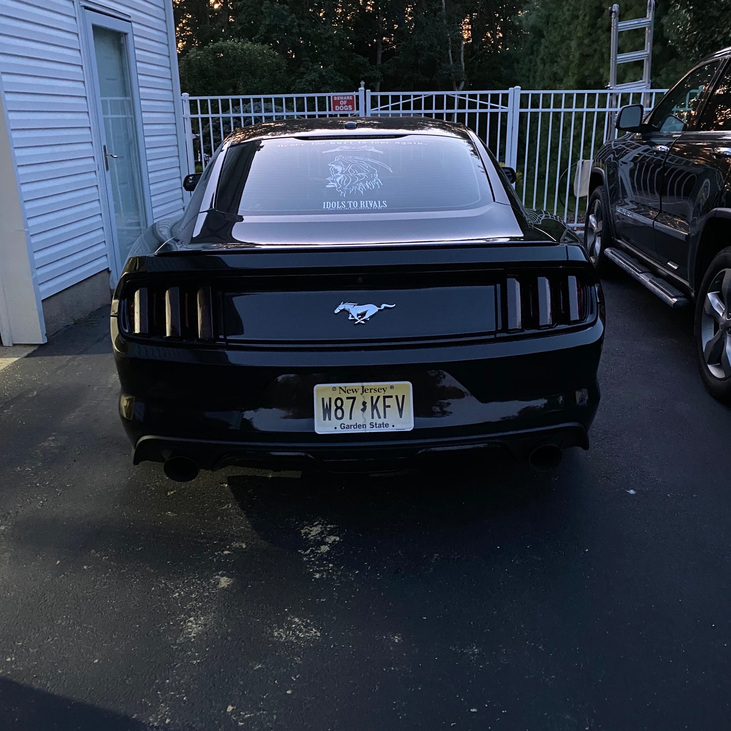 2020-2015 202017 Heart Tint