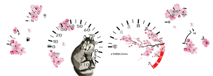 Illumaesthetics Skyline R32 Gauge Faces